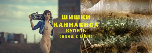 соль ск Михайлов