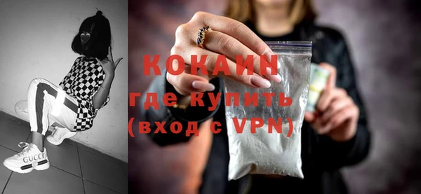соль ск Михайлов