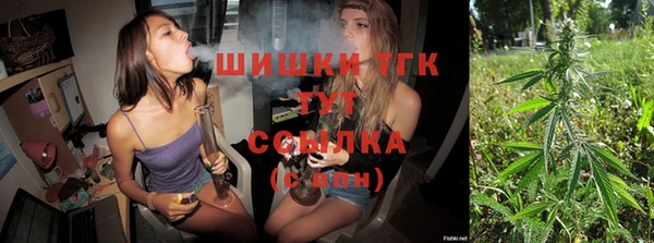 соль ск Михайлов