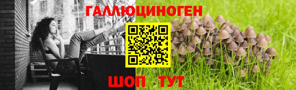 Псилоцибиновые грибы GOLDEN TEACHER  Вход с VPN  Новоалександровск 