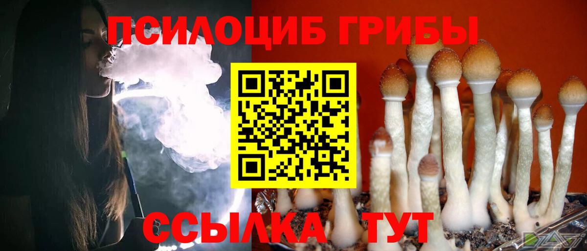 Галлюциногенные грибы ЛСД Новоалександровск