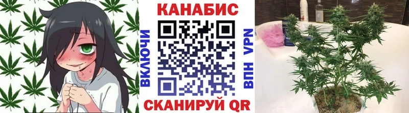 Бошки Шишки LSD WEED  цены   гидра как зайти  Новоалександровск 